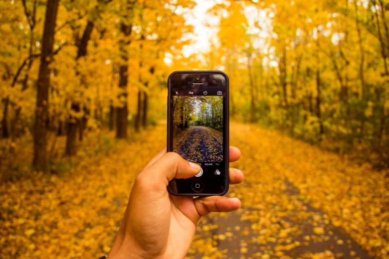 Free stock image of Road filled with leaves created by Unsplash