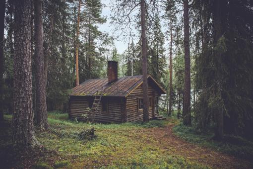Cabin in the Woods - Free Stock Photo