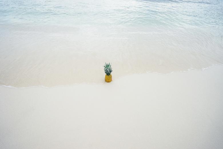 Free stock image of Tiny created by Unsplash