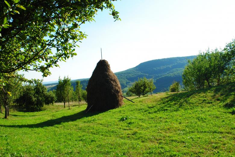 Free stock image of Landscape made in Transilvania created by Bee 