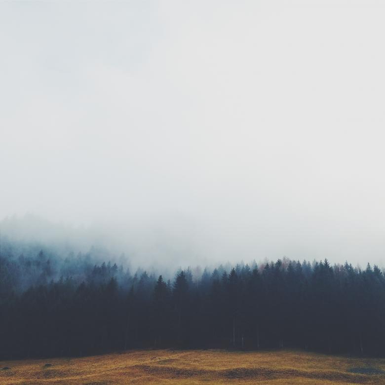 Free stock image of Nature created by Unsplash