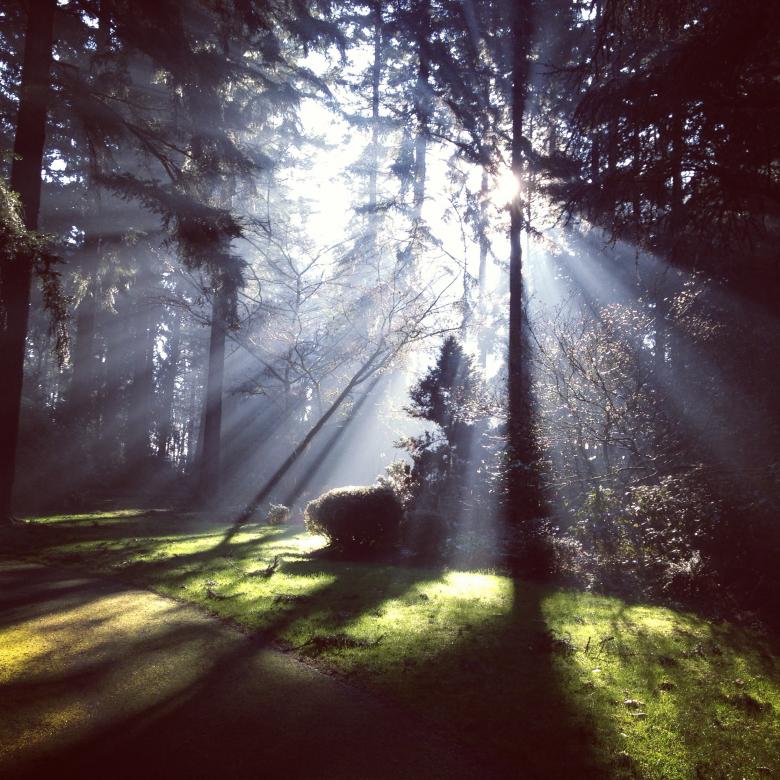 Free stock image of Rays entering created by Unsplash