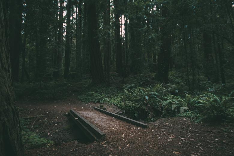 Free stock image of The Route created by Unsplash