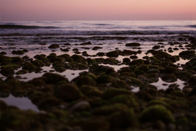 Free stock image of Sea side created by Unsplash