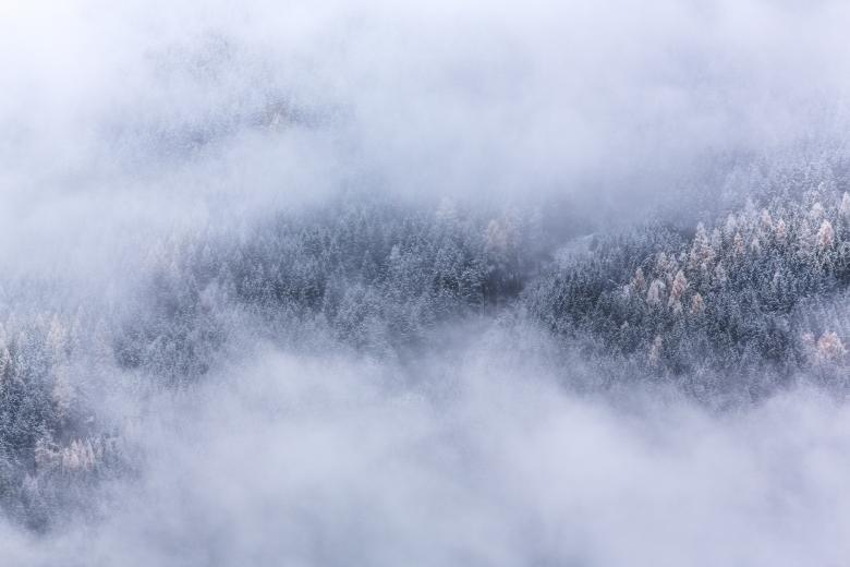 Free stock image of Cloudy Forest created by Unsplash