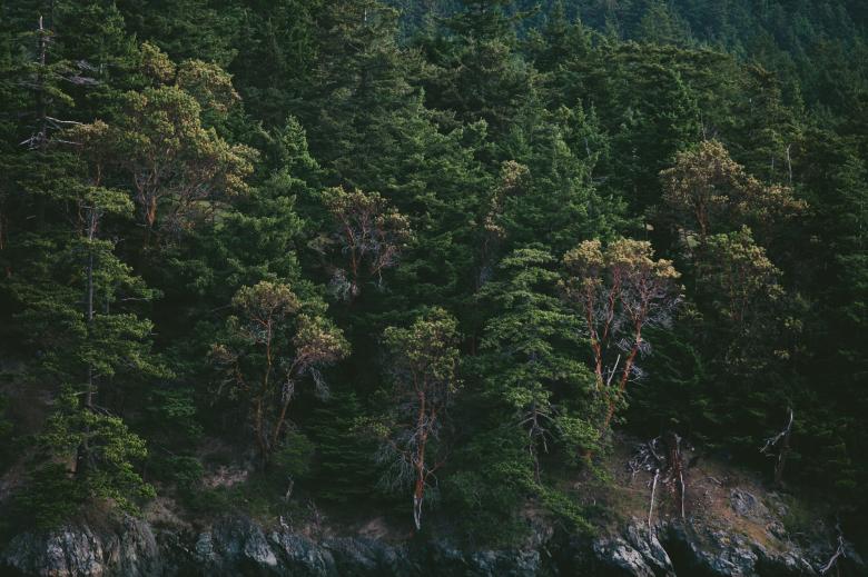 Free stock image of Rocky Mountain created by Unsplash