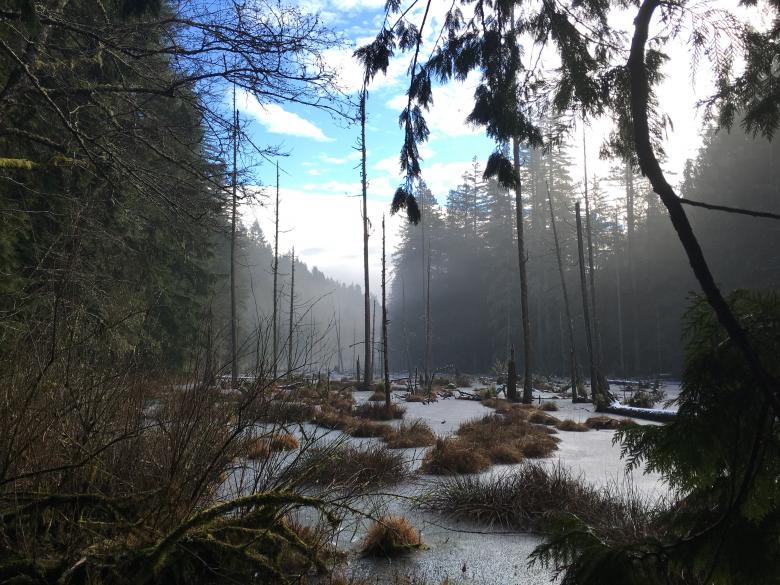 Free stock image of Winter created by Unsplash