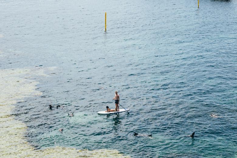 Free stock image of Surfer created by Unsplash