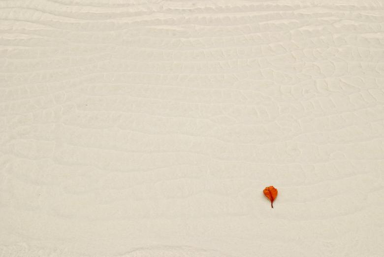 Free stock image of Alone created by Unsplash