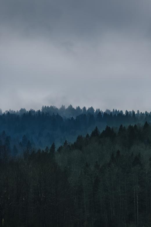 Free stock image of Nature created by Unsplash
