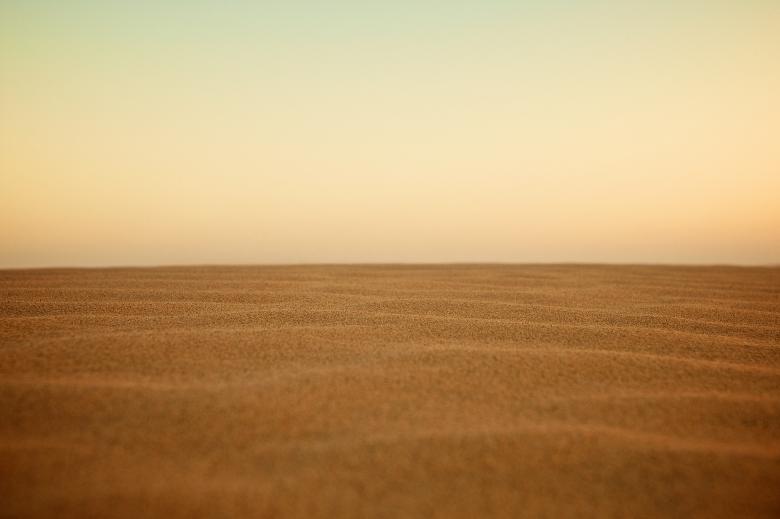 Free stock image of Sandy created by Unsplash
