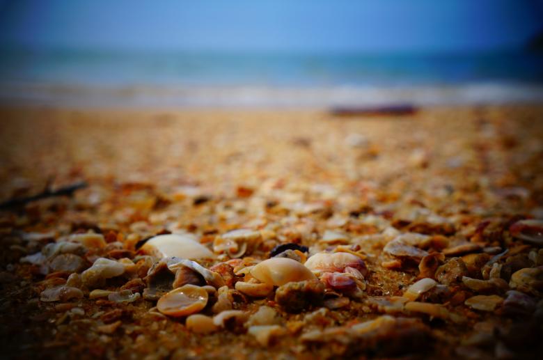 Free stock image of ooze created by Unsplash