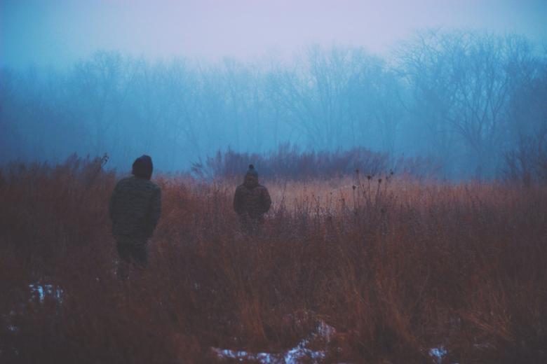 Free stock image of Jungle created by Unsplash