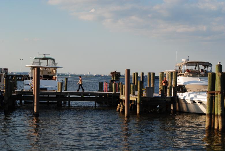 Free stock image of On the Boat Yard created by Bee 