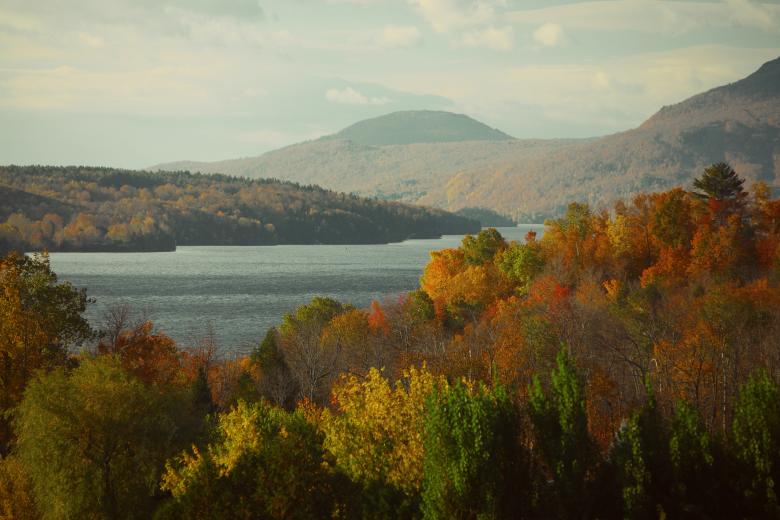 Free stock image of Nature in Fall created by Life of Pix