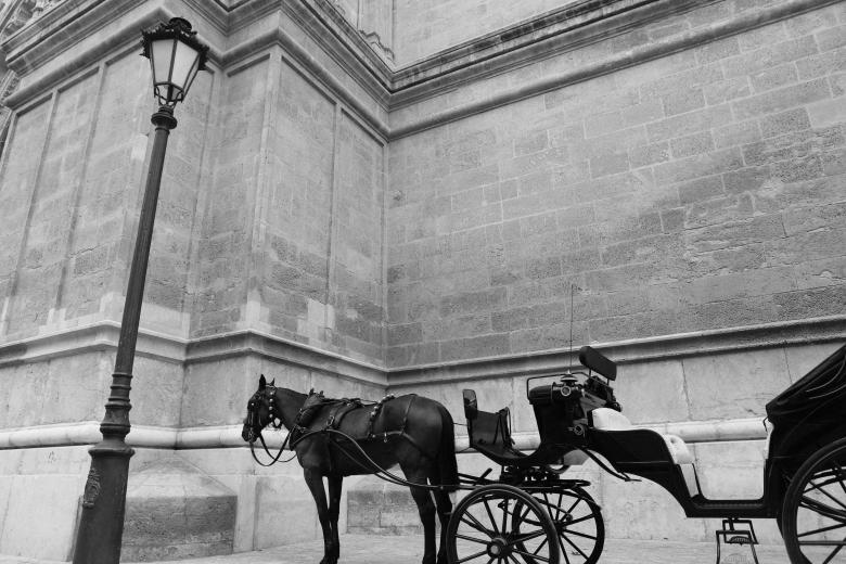 Free stock image of Horse and carriage created by Life of Pix