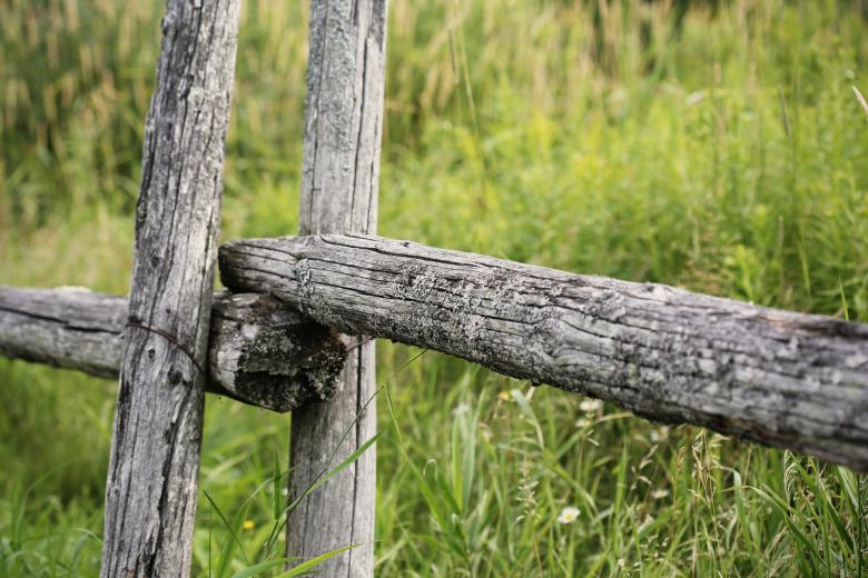 Free stock image of Wooden fence created by Life of Pix