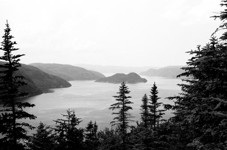 Free stock image of Nature created by Life of Pix