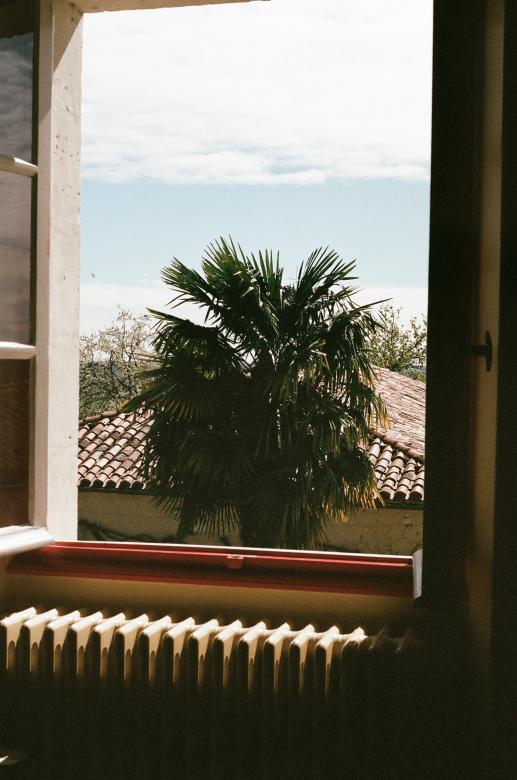 Free stock image of Roof view created by Life of Pix