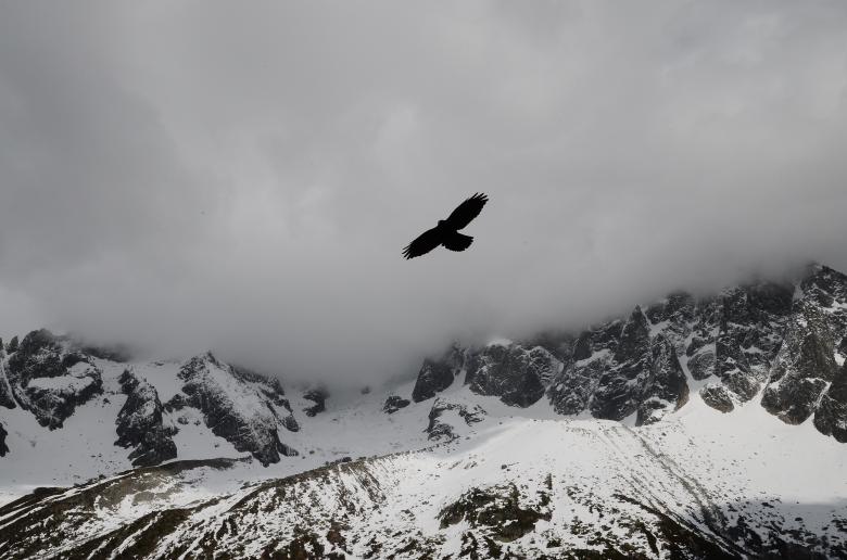 Free stock image of Flying alone created by Unsplash