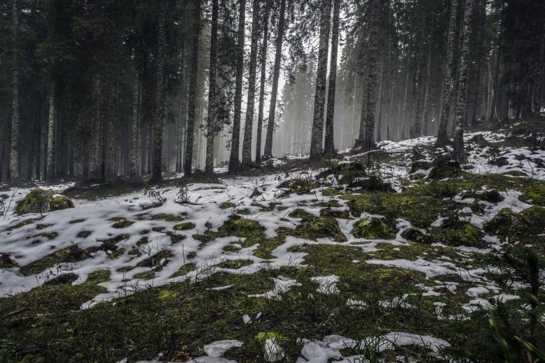 Free stock image of Cold created by Unsplash