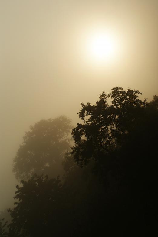 Free stock image of Foggy  created by Unsplash