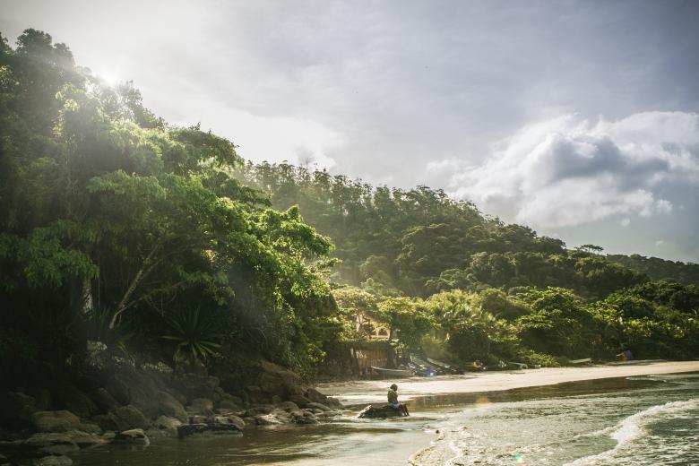 Free stock image of Bright created by Unsplash