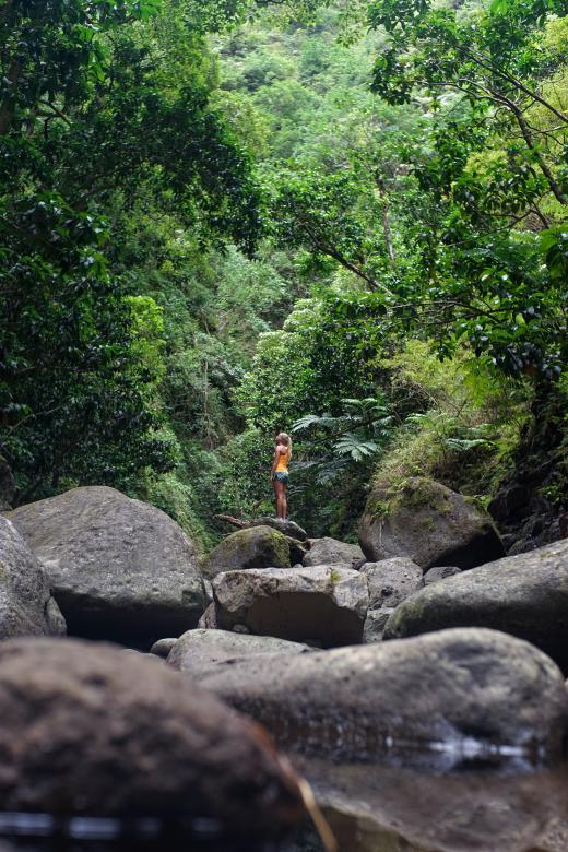 Free stock image of Hiker created by Unsplash