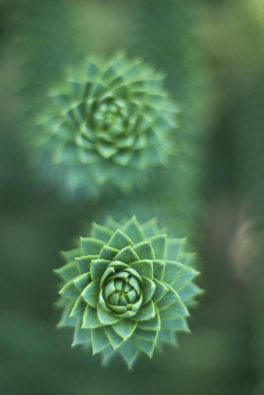 Free stock image of Twins created by Unsplash