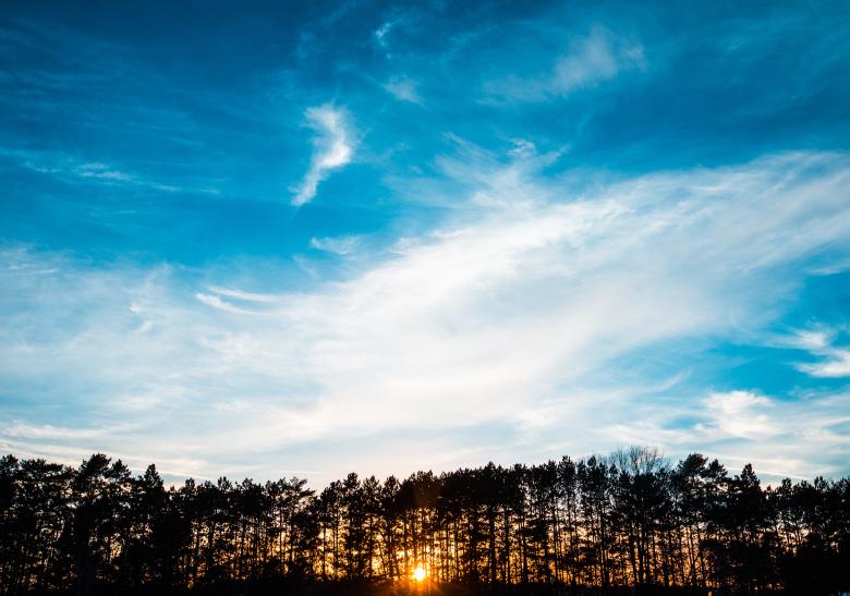 Free stock image of Cloudy Sky Above the Treeline created by Unsplash