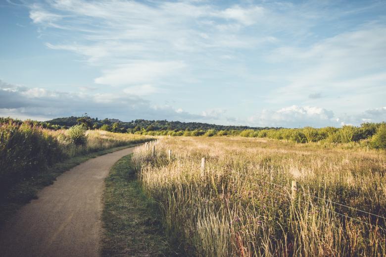 Free stock image of The Fencing created by Unsplash