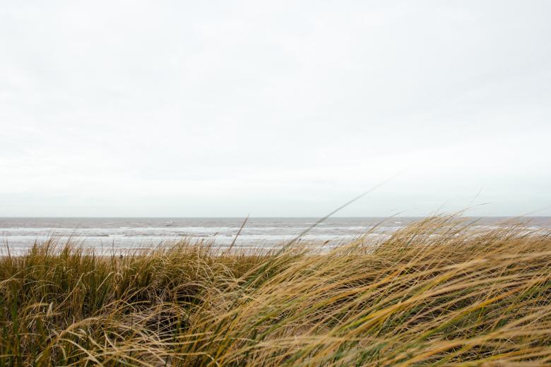 Free stock image of Beach created by Unsplash