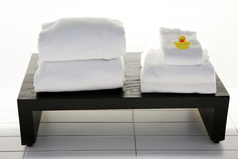Free stock image of Duck Bath created by Life of Pix