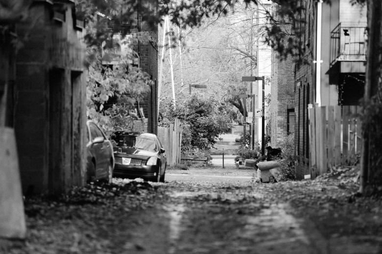 Free stock image of Street In Montreal created by Life of Pix