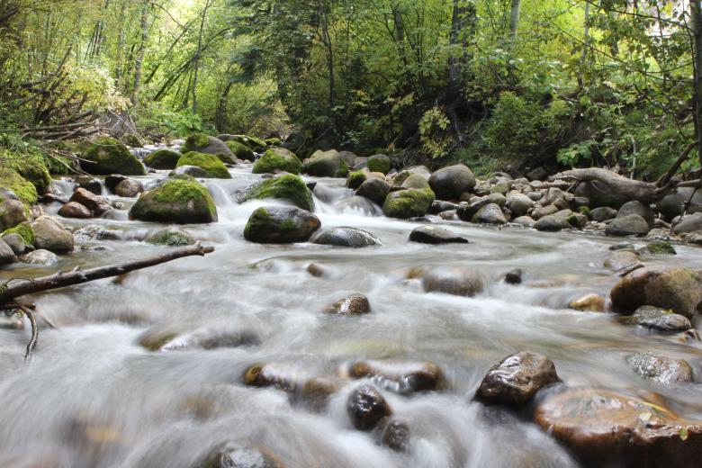 Free stock image of Stream In The Forest created by Life of Pix