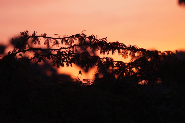Free stock image of Sunset created by Life of Pix