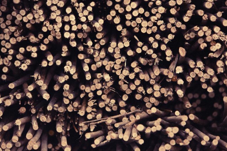 Free stock image of Wood Logs created by Life of Pix