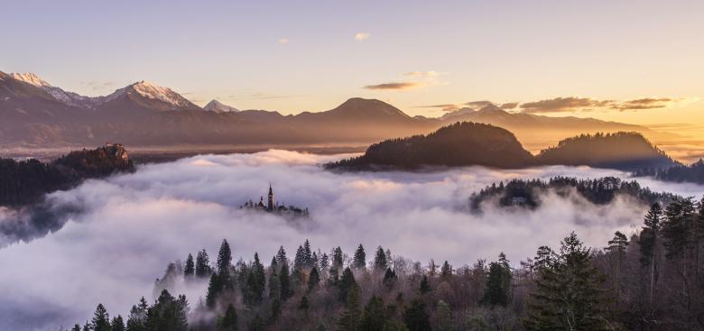 Free stock image of Forest covered by clouds created by Life of Pix