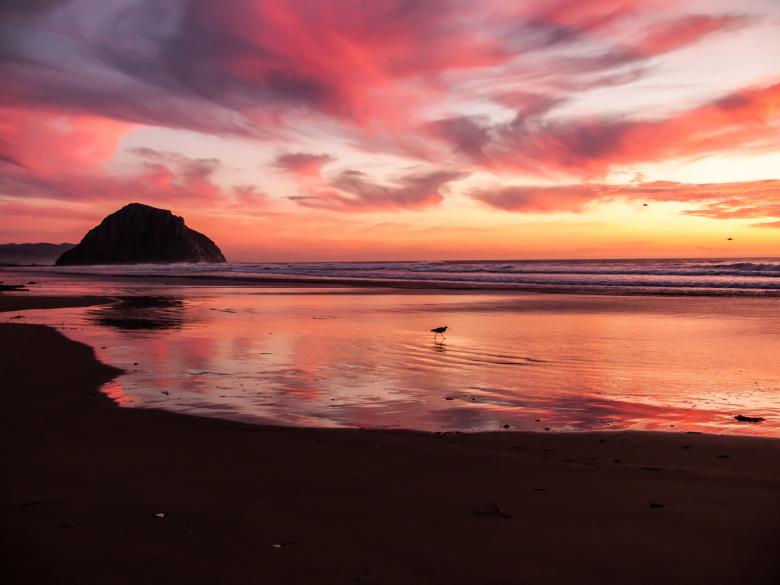 Free stock image of Nature created by Unsplash