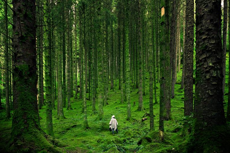 Free stock image of Nature created by Unsplash