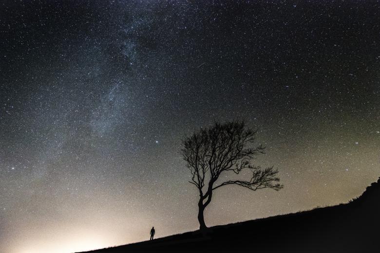 Free stock image of Nature created by Unsplash