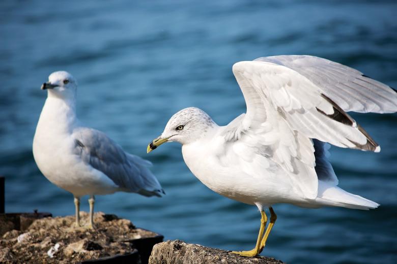 Free stock image of About to take off created by Unsplash