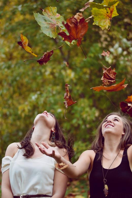 Free stock image of The Fallen created by Unsplash