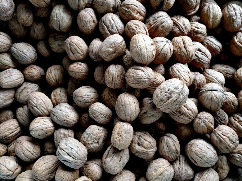 Free stock image of Walnut created by Unsplash