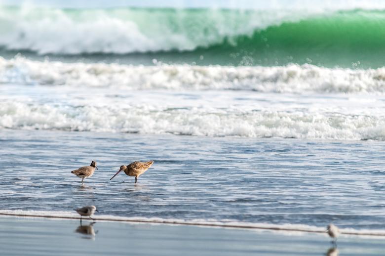 Free stock image of Shore created by Unsplash
