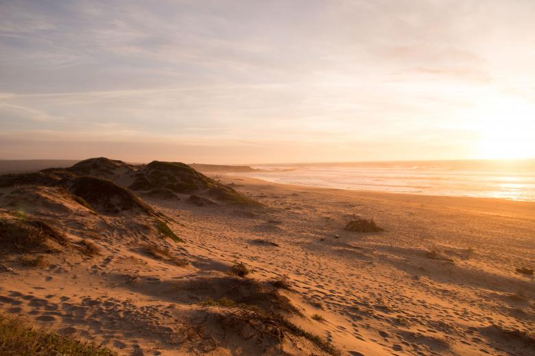 Free stock image of Beach created by Life of Pix