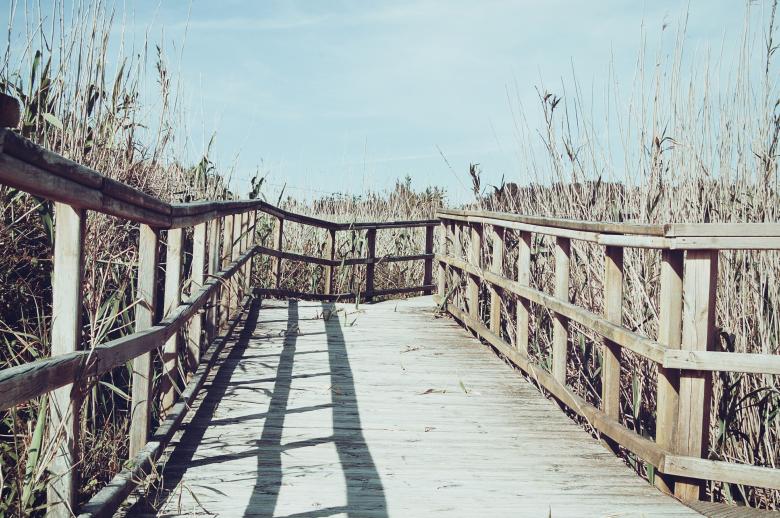 Free stock image of Path created by Life of Pix