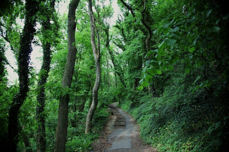Free stock image of Nature created by Life of Pix