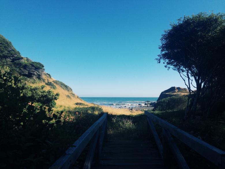 Free stock image of Pathway created by Life of Pix