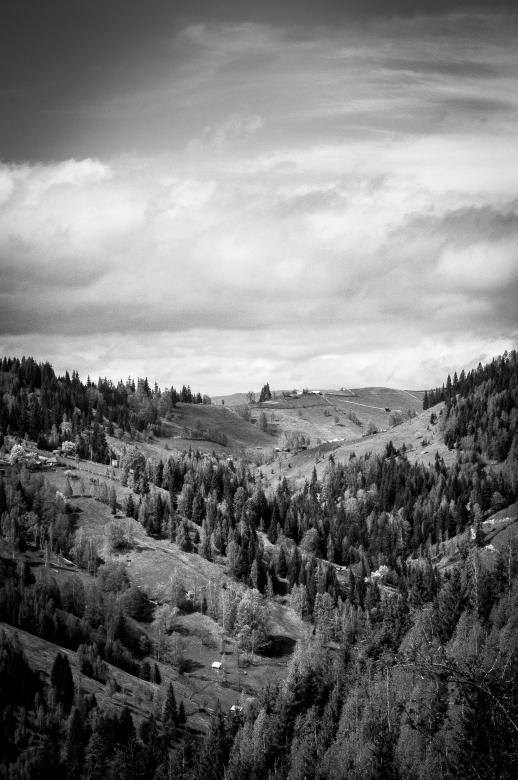 Free stock image of Nature created by Unsplash